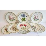 Nine Portmeirion Botantic Garden 10½" plates