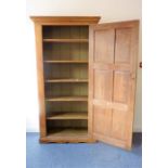 A tall French hardwood (possibly oak or chestnut) side cabinet; the outset cornice above a single