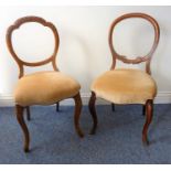 Two mid-19th century walnut balloon-back chairs on cabriole legs