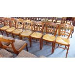 Seven early 20th century French 'moustache' ladder-back chairs; rush seats and square cabriole front