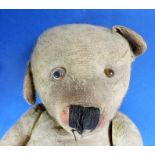 A large early 20th century Teddy Bear (playworn and damage) with 'growling' mechanism (not