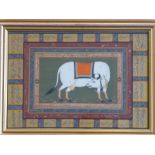 A gilt-framed and glazed Indian watercolour/gouache study of a white cow, script within the border