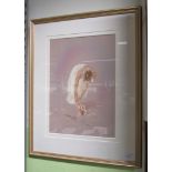 A gilt framed, signed print, 176/650, of a pastel original by Kay Boyce, 'Ballet Slippers'