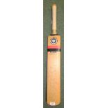 Cricket Bat by Newbery Bats signed by the Somerset Cricket Team at the Bridgwater and Albion Rugby
