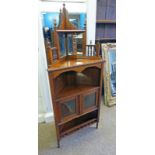 LATE 19TH CENTURY WALNUT CORNER DISPLAY CASE WITH 2 GLAZED PANEL DOORS & GALLERIED SHELF