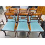 SET OF 6 MAHOGANY DINING CHAIRS ON SABRE SUPPORTS