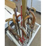 LARGE SELECTION OF WALKING STICKS, SHOOTING STICKS,