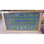 PINE FRAMED WALL DISPLAY CASE CONSISTING OF VARIOUS ROPE KNOT TIES 64 X 105 CM