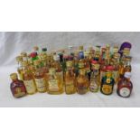 SELECTION OF VARIOUS BLENDED WHISKY MINIATURES TO INCLUDE SHEEP DIP, THE PITLOCHRY 10 YEAR OLD,