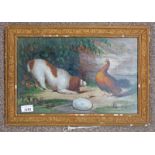 GILT FRAMED OIL PAINTING SPANIEL & PHEASANT - 24 X 39 CM