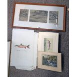 3 EARLY LITHOGRAPHS OF SALMON & FRAMED PICTURE SIGNED INDISTINCTLY OF FISHING,