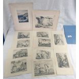 12 UNFRAMED EARLY 19TH CENTURY ETCHINGS OF BIRDS INCLUDING RAVENS, CROWS, PEACOCKS,