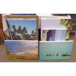 SELECTION OF CANVAS PICTURES