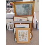 SELECTION OF VARIOUS FRAMED PICTURES