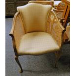EARLY 20TH CENTURY MAHOGANY ARMCHAIR WITH BERGERE SIDES AND SHAPED SUPPORTS