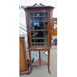 19TH CENTURY OAK WALL MOUNTED CORNER CABINET WITH ASTRAGAL GLAZED DOOR AND STAND
