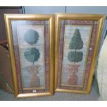 PAIR OF FRAMED PRINTS OF POTTED SHAPED BUSHES 79 X 28 CM