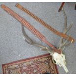 STAGS 8 POINT ANTLERS & 2 CARTRIDGE BELTS