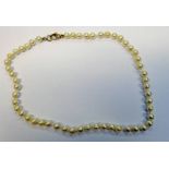 CULTURED PEARL NECKLACE OF 53 PEARLS - 43CM