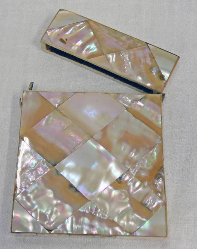 19TH CENTURY MOTHER OF PEARL CARD CASE