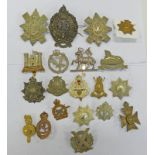 20 CAP BADGES, ETC TO INCLUDE SCOTTISH HORSE, THE BORDER REGT.