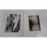 INFRA-RED NUDE BY LINDSAY GARNETT AND FEMALE NUDE WITH BLUE VASE BY RUTH ROBERTSON -2-