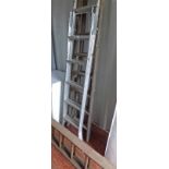 3 LADDERS,