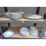 BLUE AND WHITE FLORAL DECORATED DINNER SERVICE OVER 2 SHELVES