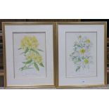 ELIZABETH CAMERON - 2 SIGNED FRAMED LIMITED EDITION PRINTS OF FLOWERS