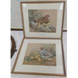 2 FRAMED WATERCOLOURS OF GAME BIRDS ATTRIBUTED TO JARVIS