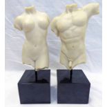 PAIR GRECO ROMAN STYLE TORSO'S ON PLINTH BASE,