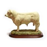 Border Fine Arts 'Charolais Bull' (Style Two), model No. B0587 by Jack Crewdson, limited edition