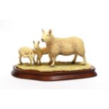 Border Fine Arts 'North Country Cheviot Ewe with Scotch Halfbred Lambs', model No. L147 by Ray