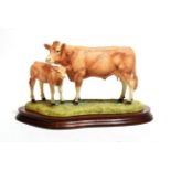 Border Fine Arts 'Blonde D'Aquitaine Cow and Calf', model No. B0353 by Kirsty Armstong, limited