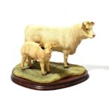 Border Fine Arts 'Charolais Cow and Calf' (Style Three), model No. B0742 by Jack Crewdson, limited