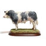 Border Fine Arts 'Belgian Blue Bull' (Style Four), model No. B0833 by Jack Crewdson, limited edition