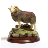 Border Fine Arts 'Herdwick Tup', model No. B0705 by Ray Ayres, limited edition 616/750, on wood