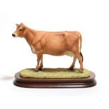 Border Fine Arts 'Jersey Cow (Polled)', model No. L110 by Ray Ayres, limited edition 383/1250, on