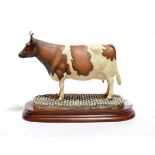 Border Fine Arts 'Ayrshire Cow' (Horned), model No. L75 by Elizabeth MacAllister, limited edition