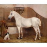 Anthony de Bree (1855-1921) Portrait of a grey horse 'Faithful servant Charlie' Signed and dated