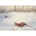 Philip Rickman (1891-1982) Pheasants in the snow Signed, watercolour, 36cm by 53cm Artist's Resale