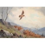 John Cyril Harrison (1898-1985) Woodcock over bracken Signed, watercolour, 22.5cm by 32cm Artist's