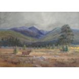 Harold Frank Wallace (1881-1962) Two stags in a pine wood with a view of the Lairig Ghru from