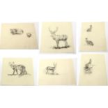 Eileen Alice Soper (1905-1990) ''Captive Fox'' Inscribed, pencil, together with five further