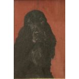 Jessie I Dunlop (1902-1970) Scottish Show Spaniel Signed, oil on canvas, 29.5cm by 19.5cm This lot