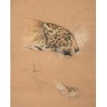 Arthur Wardle (1860-1949) Leopard Signed, pastel, 29cm by 23.5cm See illustration