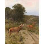 Prof Johann Christopher Drahtmann (1856-1932) German ''Brunthirsch mit Kahlwild'' Signed, oil on