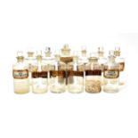 Pharmacy Bottles a collection of 12 clear glass examples including seven 7 3/4x3'' with gold