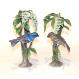 Two Royal Worcester models of a Lazuli Bunting, Cock and Hen by Dorothy Doughty each dated 1962 with