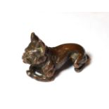 A patinated bronze paperweight stamped 'Tiffany Studios, New York', realistically cast as a